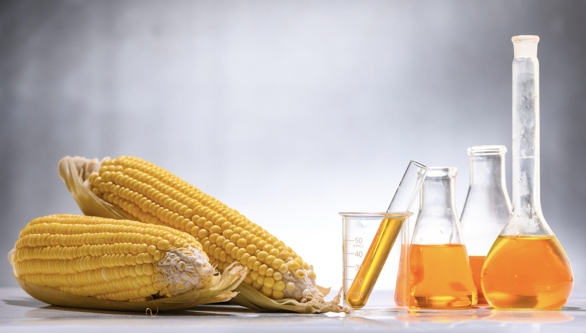 Ré-information sur le fructose