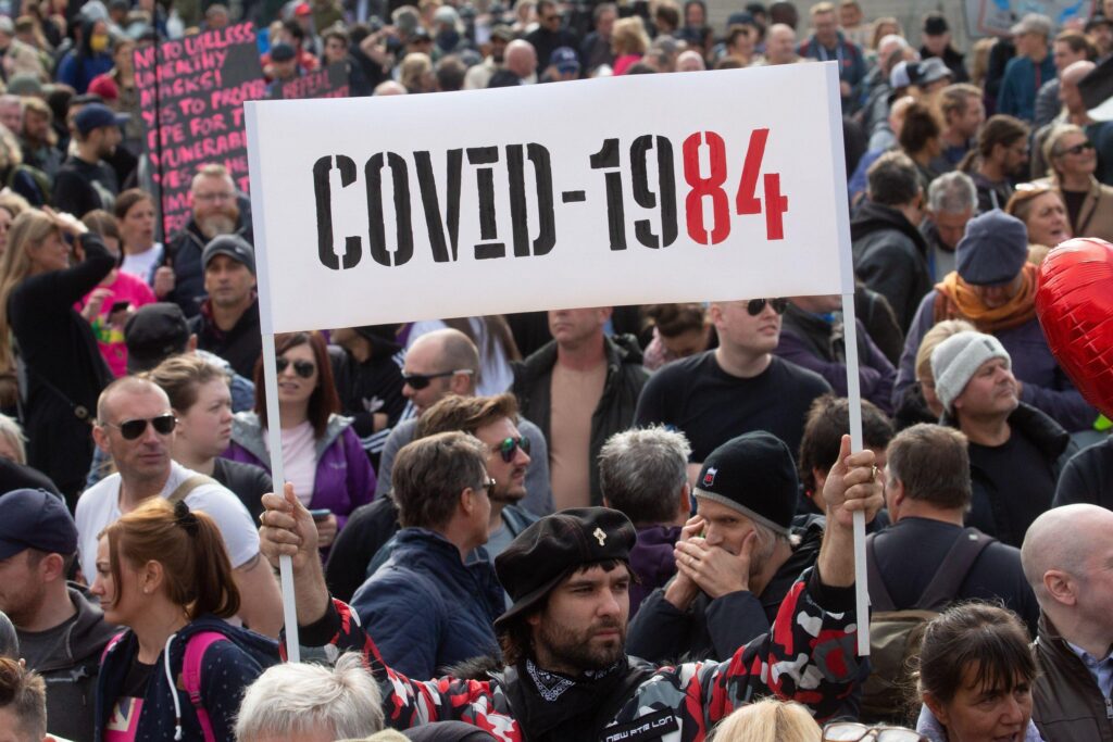 Inventaire de la coque-vide 19 (I)