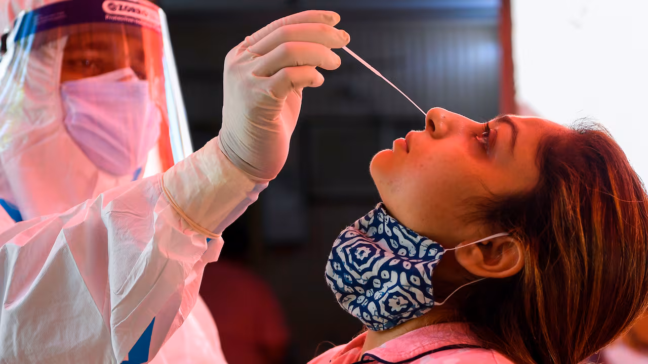 Inventaire de la coque-vide 19 (III)